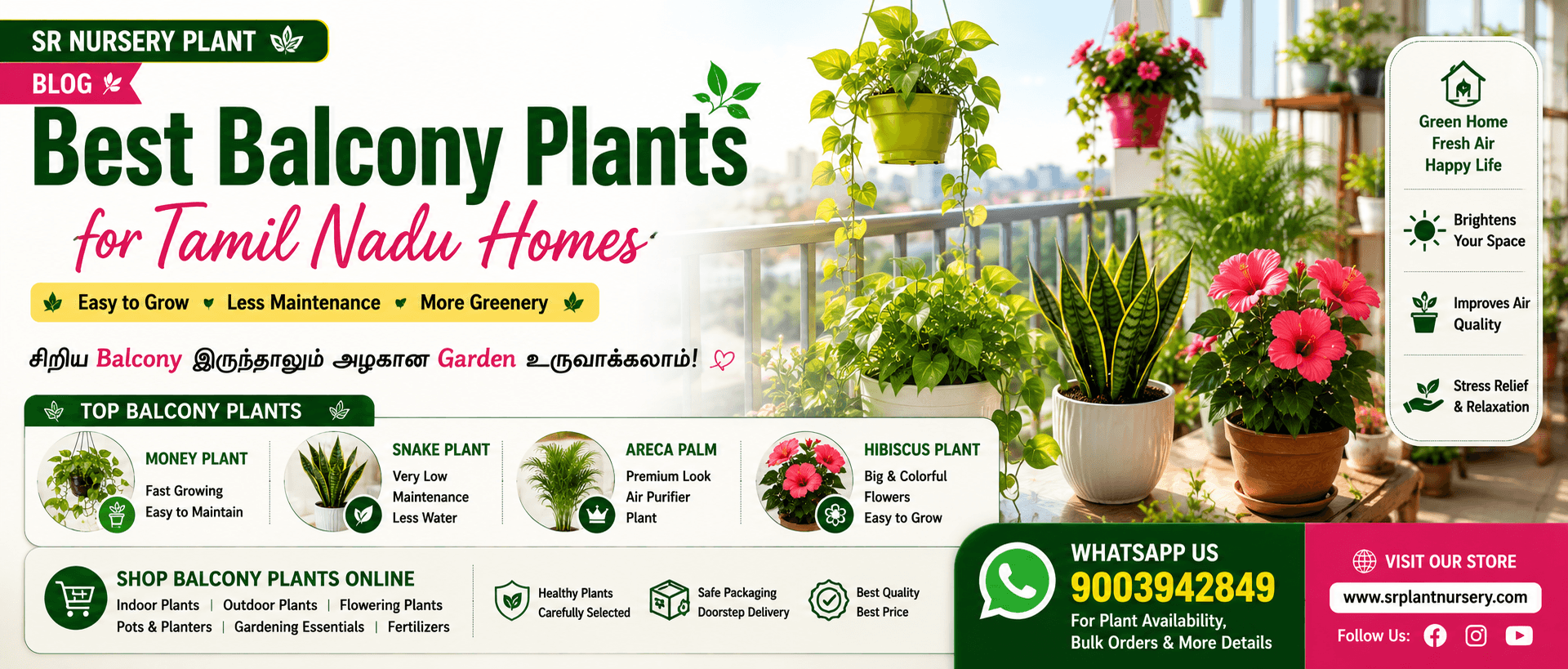 Best Balcony Plants for Tamil Nadu Homes – Easy Gardening Tips