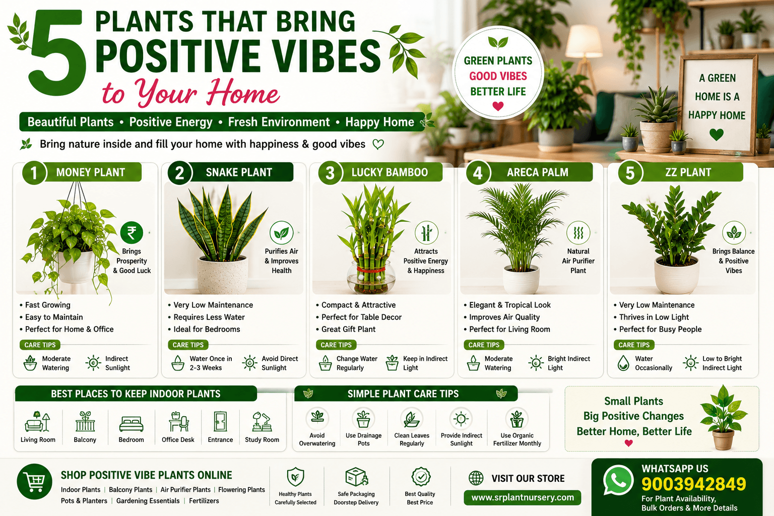 5 Plants That Bring Positive Vibes to Your Home – Trending Home Plants in India