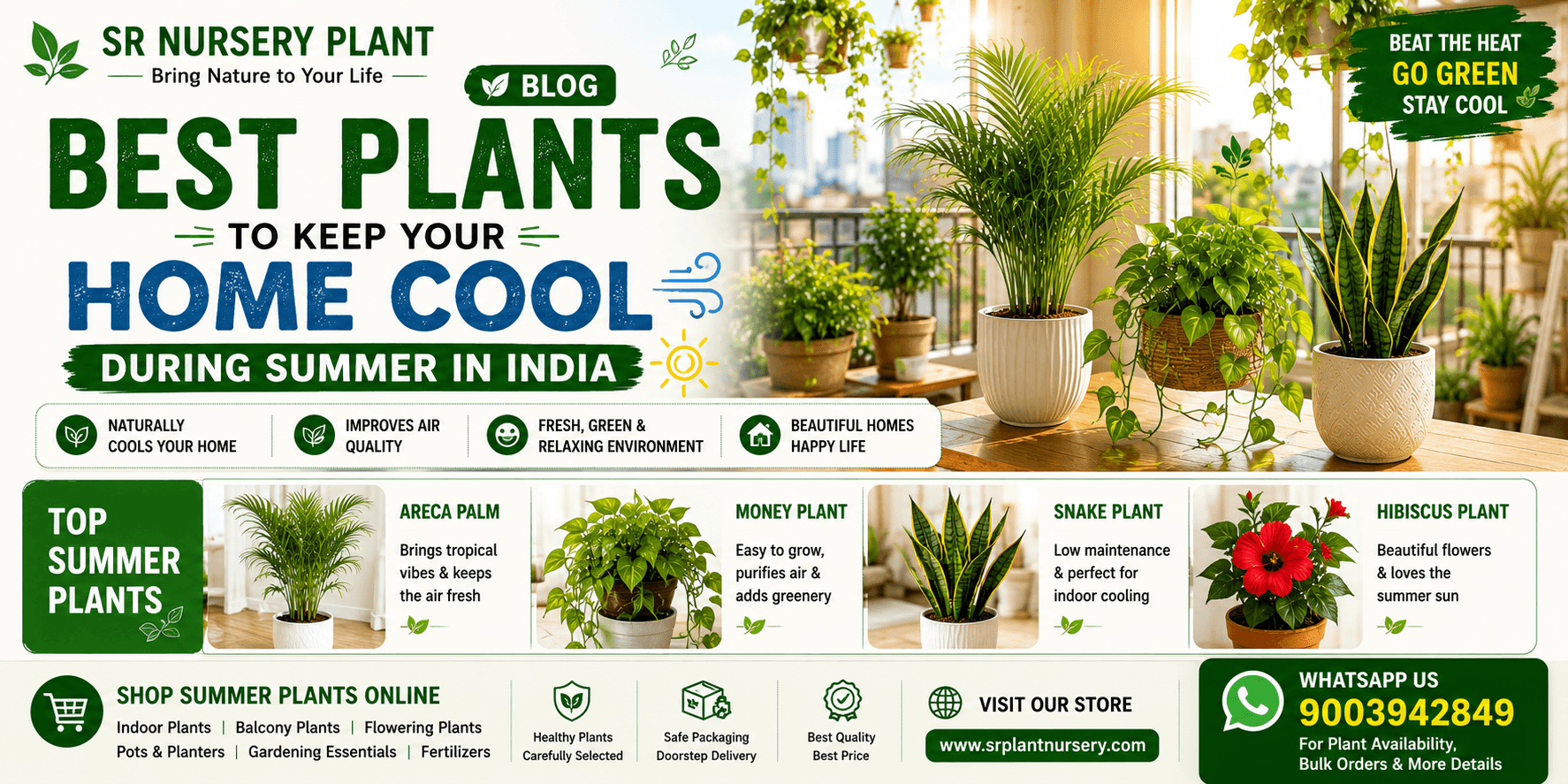 Best Plants to Keep Your Home Cool During Summer in India