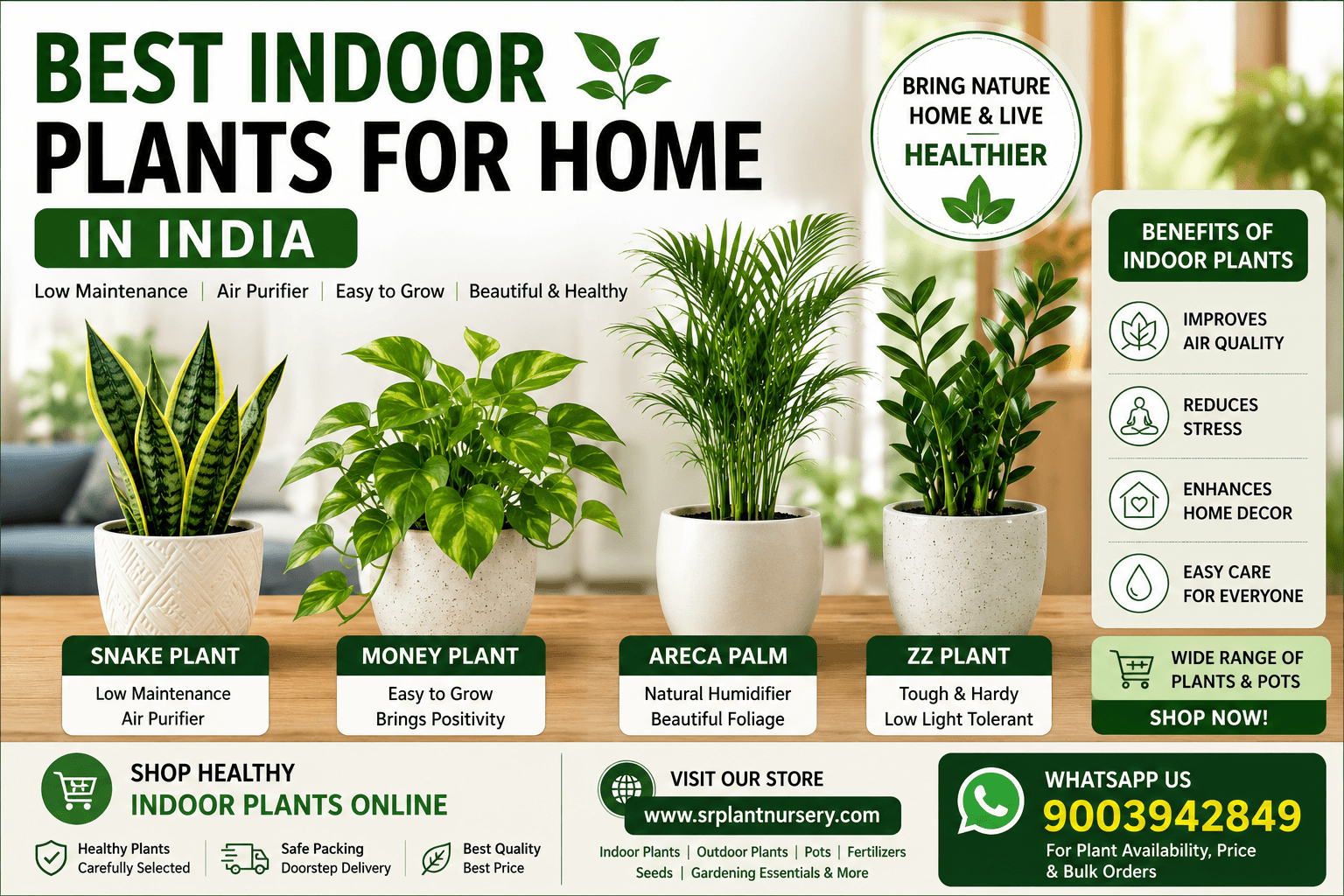 Best Indoor Plants for Home in India – Low Maintenance & Air Purifier Plants